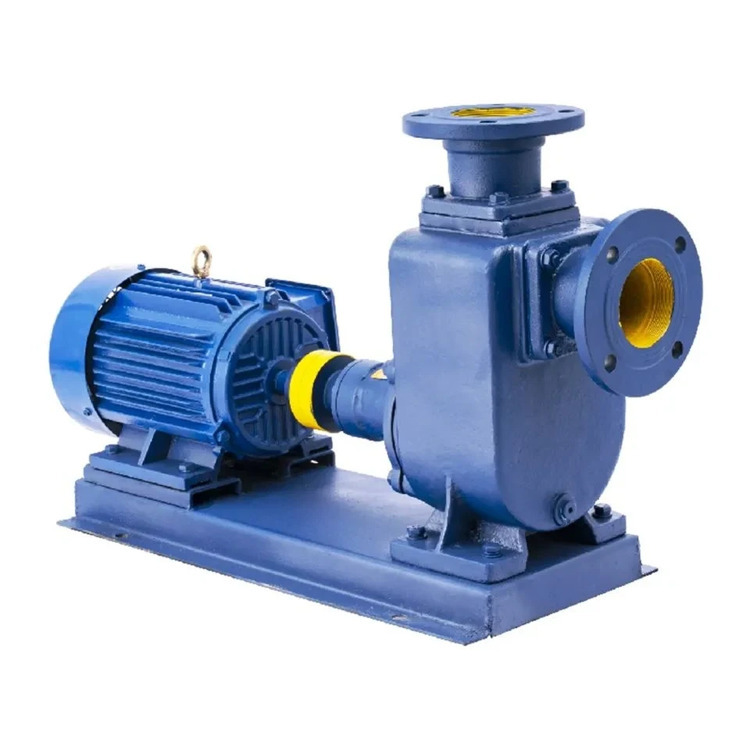 Console self-priming pumps